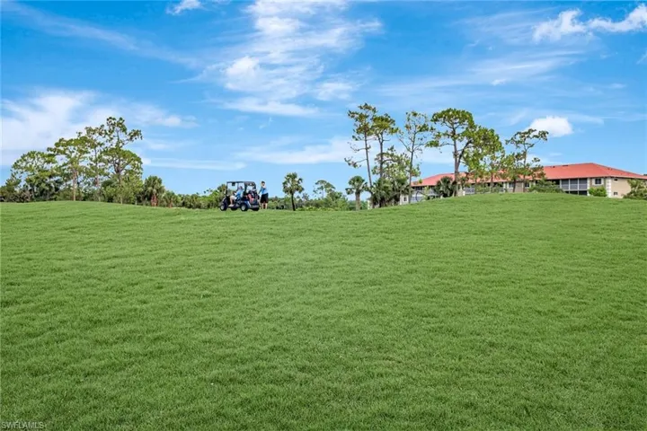 View of grassy yard