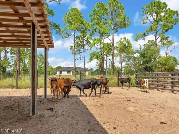 Stable featuring a rural view