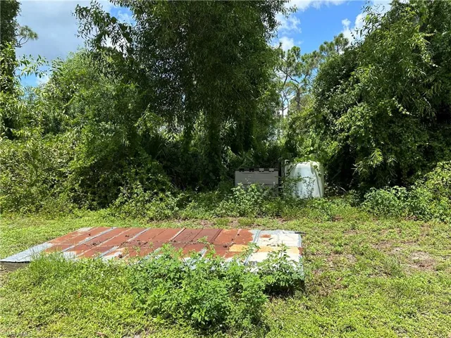 View of Back Yard & Well Equipment