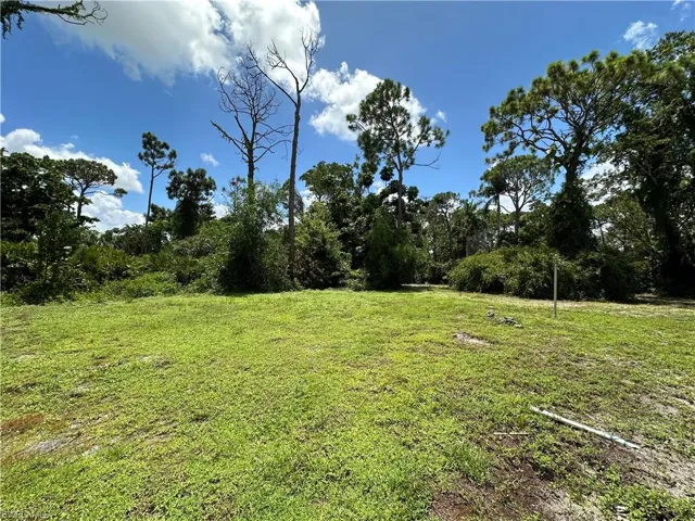 View of Front Yard