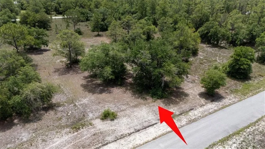 Bird's eye view of a heavily wooded area
