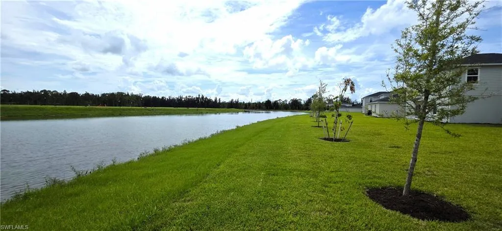 Pond