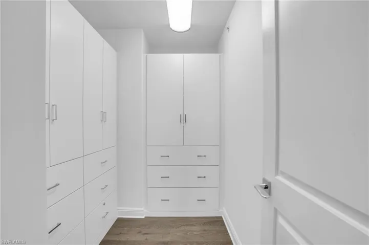 Closet in Flex Room / Den