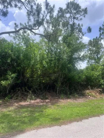 6020 Juliet AVE, Fort Myers, FL 33905,225061824