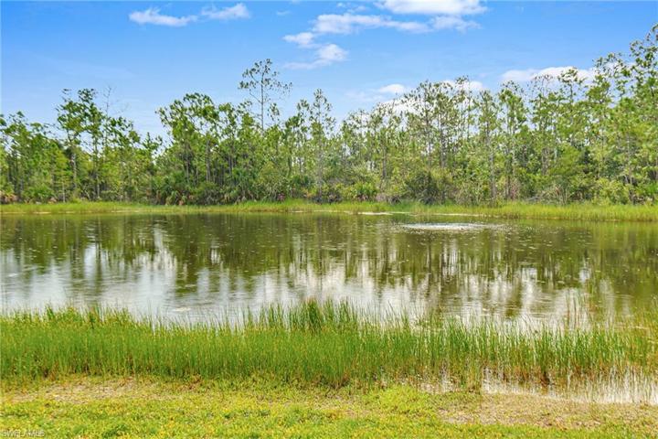 PRIVACY TO BE ENJOYED WITH A LAKE & PRESERVE VIEW! PEACEFUL! PEACEFUL! PEACEFUL!