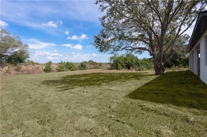 View of grassy yard