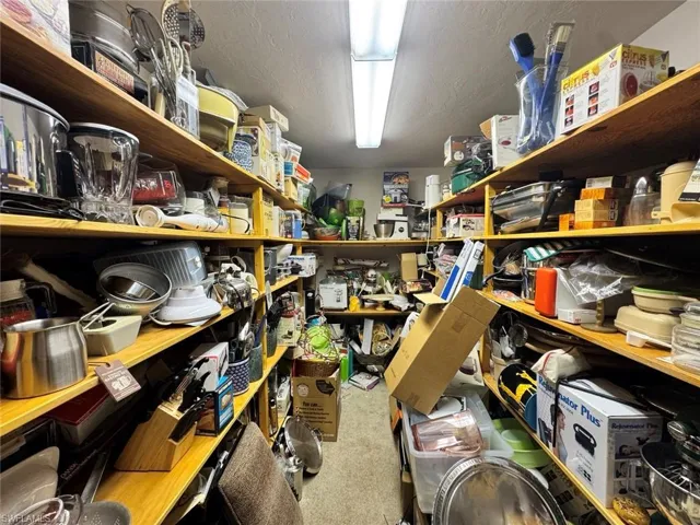 Unedited picture of the butlers pantry.