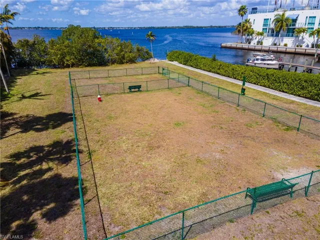 Dog Park