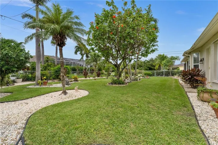 View of back yard