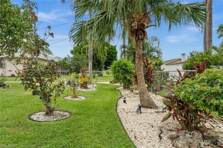 View of back yard