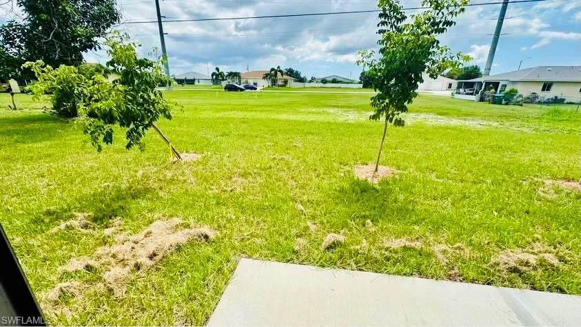 View of grassy yard