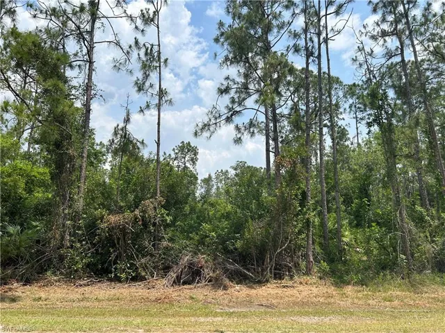 Middle of property has a natural clearing