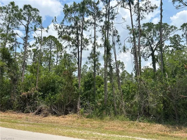Oversized lot in a great area
