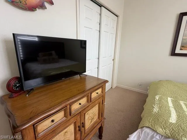Bedroom featuring carpet floors and a closet