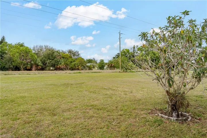 View of huge back yard