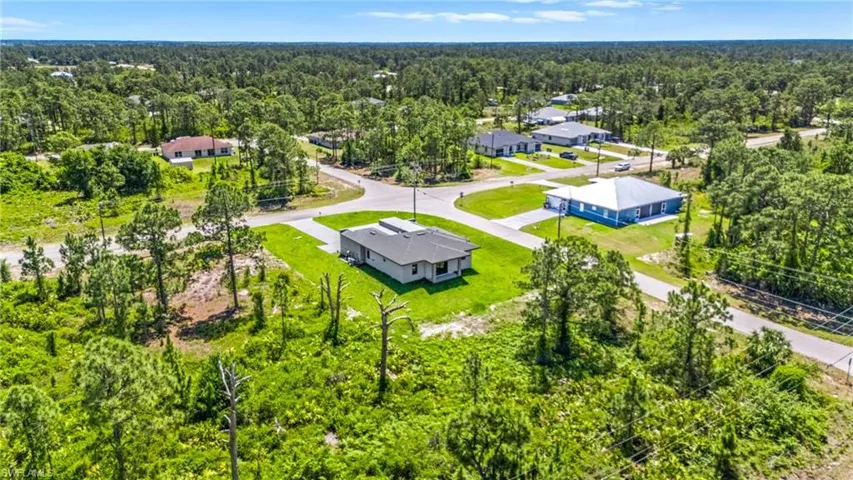Aerial perspective of suburban area with a forest