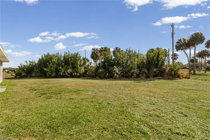 View of green lawn