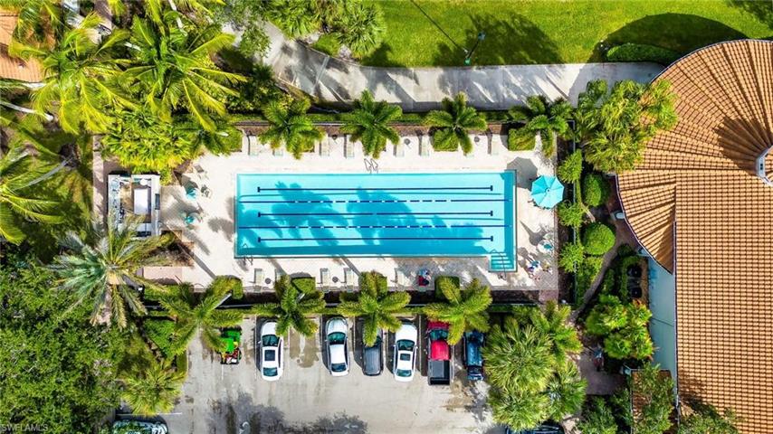 Lap Pool