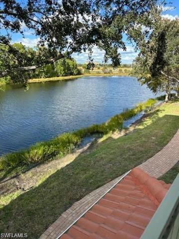 peaceful park view