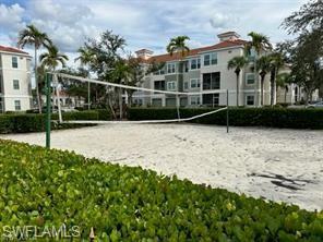 beach volley ball anyone