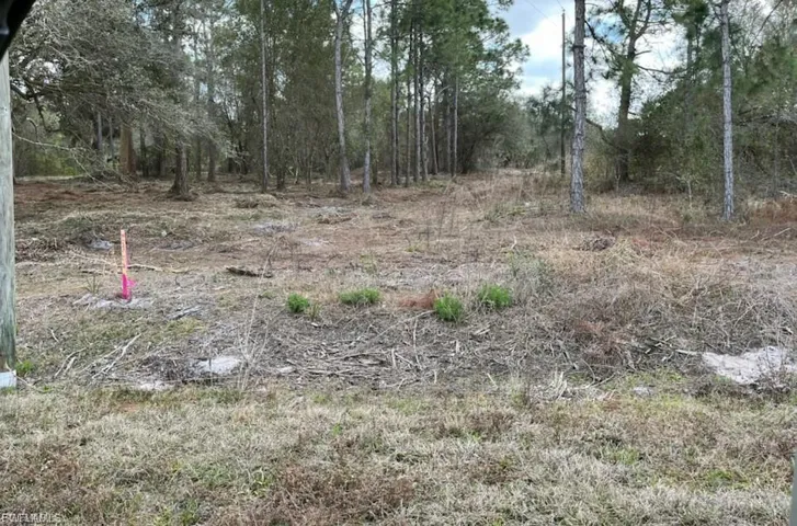 View of undeveloped land