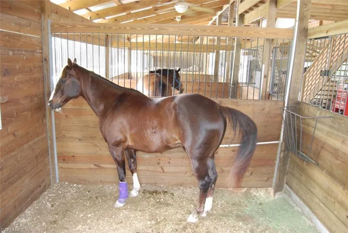 Horses are not allowed to be kept on your property, but horse boarding is available at a horse barn on an adjoining property! Ride your horse to your property then ride it back to the nearby horse barn!