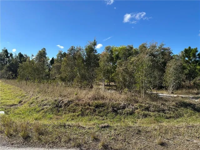 920 Panda Dr, Lehigh Acres, Florida 33974