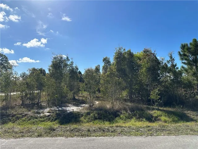 920 Panda Dr, Lehigh Acres, Florida 33974