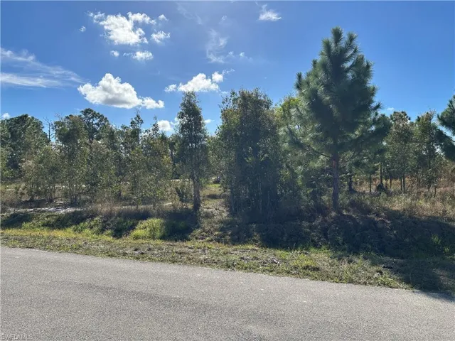 920 Panda Dr, Lehigh Acres, Florida 33974