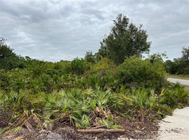 552 Sherwood AVE S, LEHIGH ACRES FL 33974