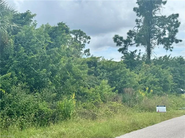 View of asphalt road