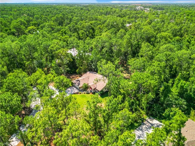 View of bird's eye view