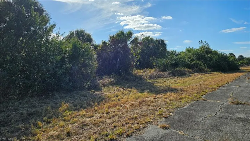 View of lot