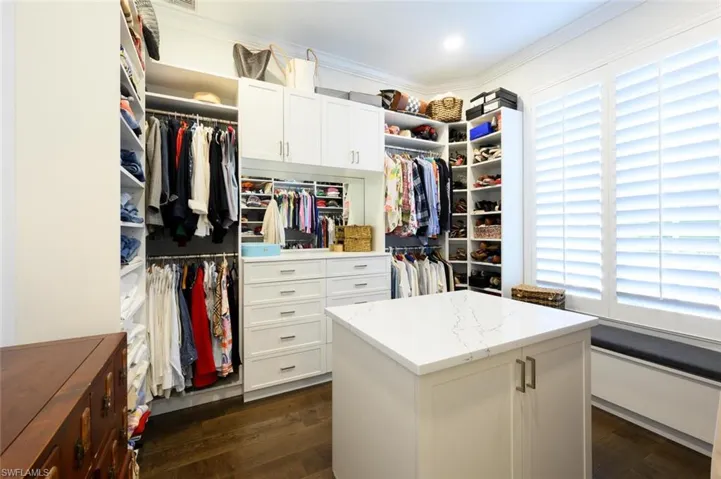 Spacious closet featuring dark wood-type flooring