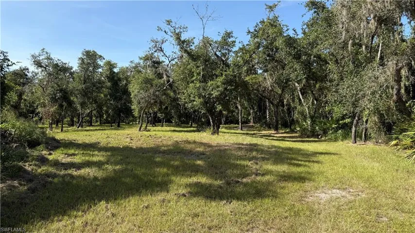Water view with a heavily wooded area
