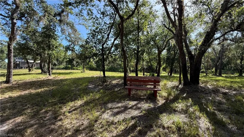 View of woods