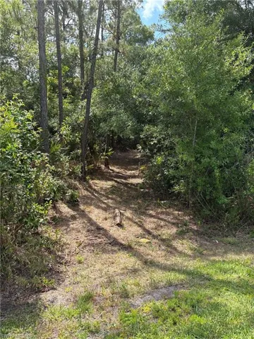 View of nature