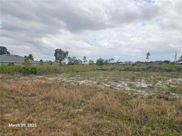 View of local wilderness