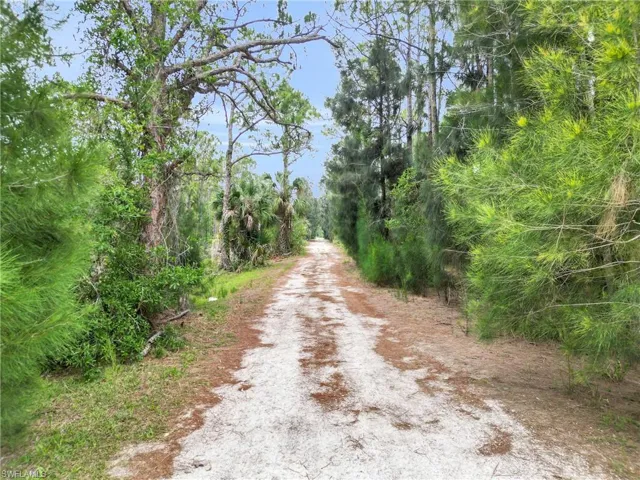 View of dirt / gravel road featuring a forest view