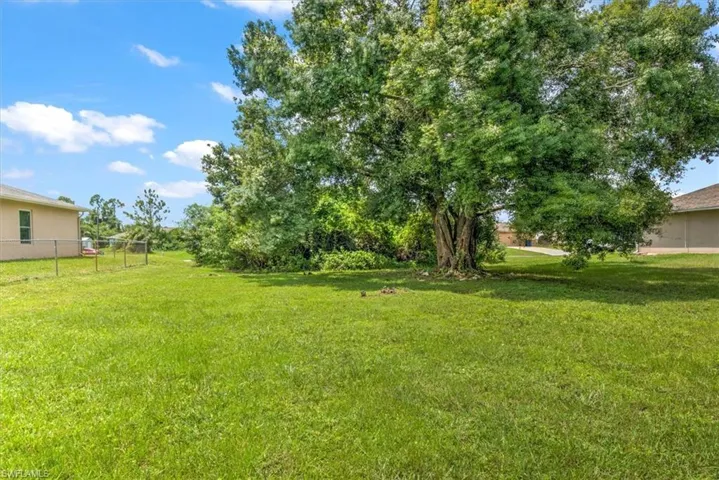 Extra lot view available to purchase is cleared on the backside with a nice spared tree to give some shade.