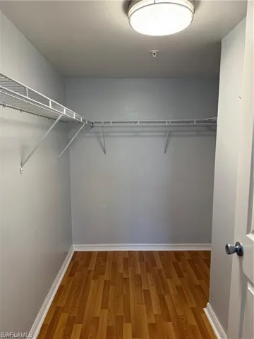 Primary Room Walk in closet featuring light wood-style floors