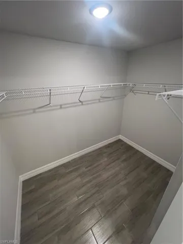 Spacious closet featuring dark wood-style floors