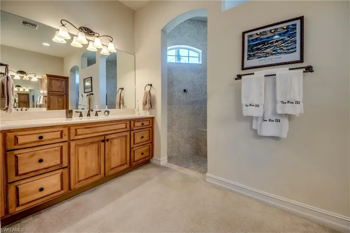 Full bathroom featuring walk in shower, vanity, and light colored carpet