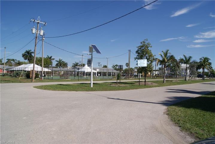 TENNIS  OR BASKETBALL