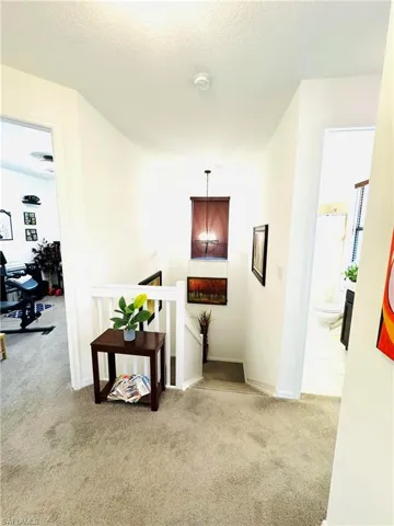 5434 Useppa Dr, Ave Maria, Florida 34142