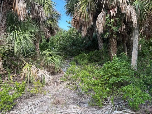 Lot View
