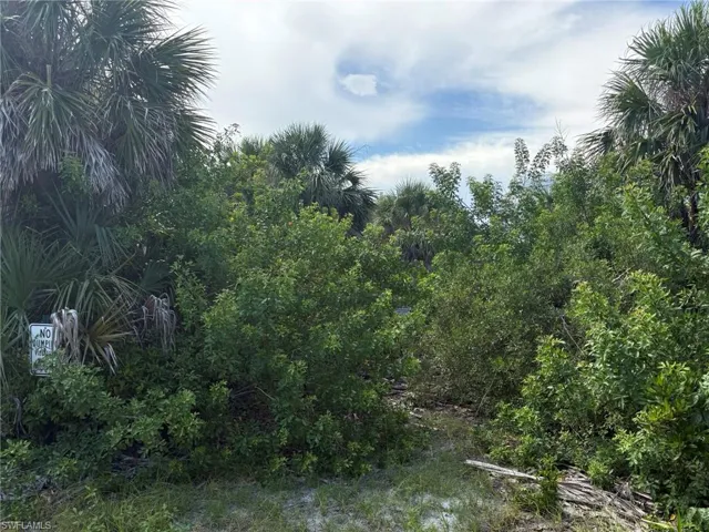 Lot View directly behind the house