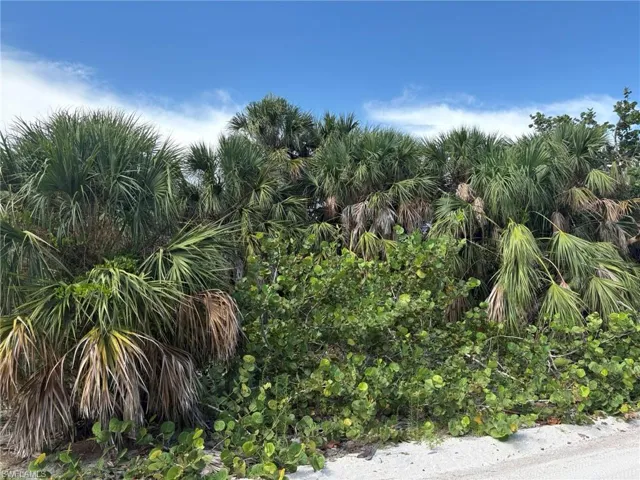 Lot View