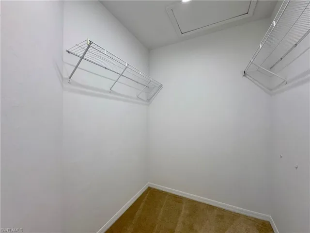 Walk in closet with carpet floors