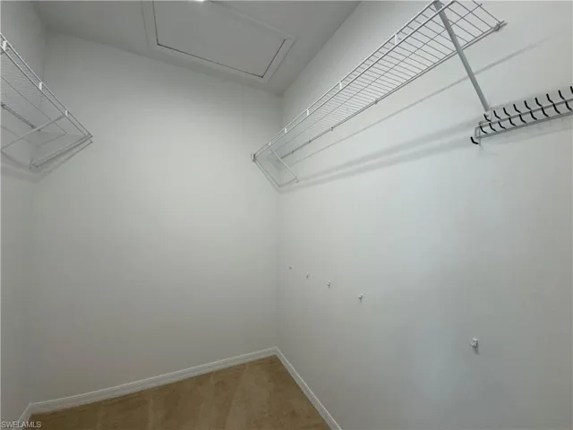 Walk in closet featuring carpet flooring
